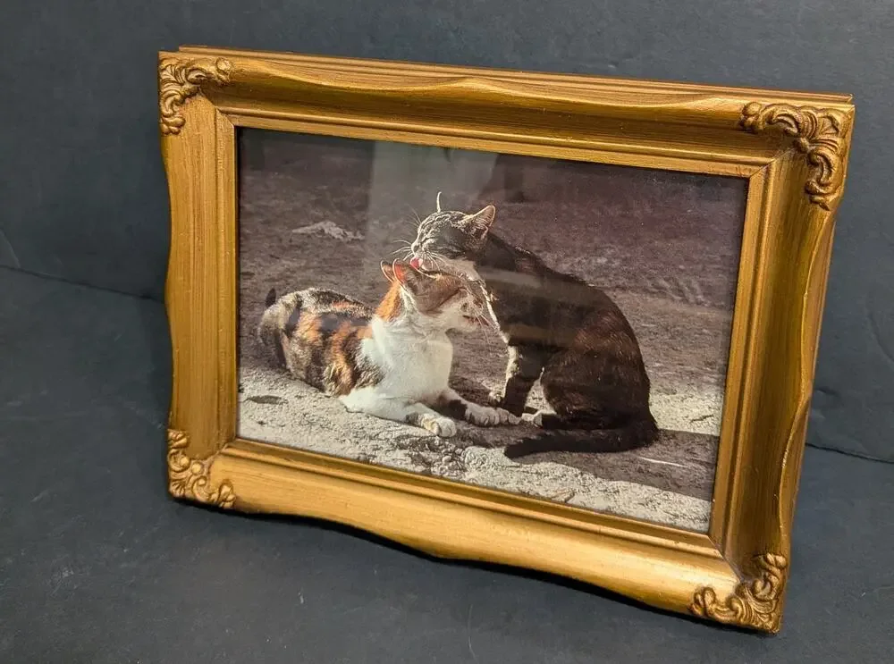 Vintage Style Ornate Gold Picture Frame 4x6 Cat Lovers Grooming Calico